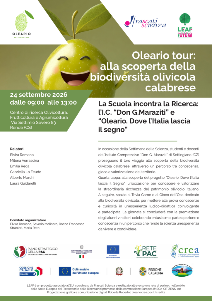Oleario tour, 24 settembre 2026, ore 9–13. Rende: giochi didattici con Oleario. Apri il PDF per il programma completo.